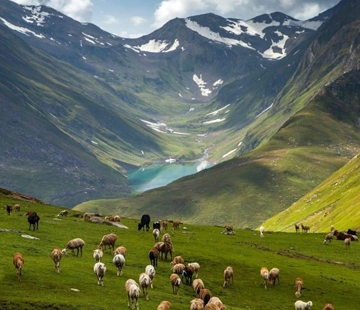 SplindidHimachal